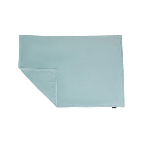 Baxter Bone - Mint Luxe Soft Minky Pet Blanket - Medium