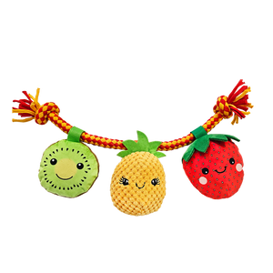 Baxter Bone - Summer Fruits On A Rope Pet Toy - Petservo