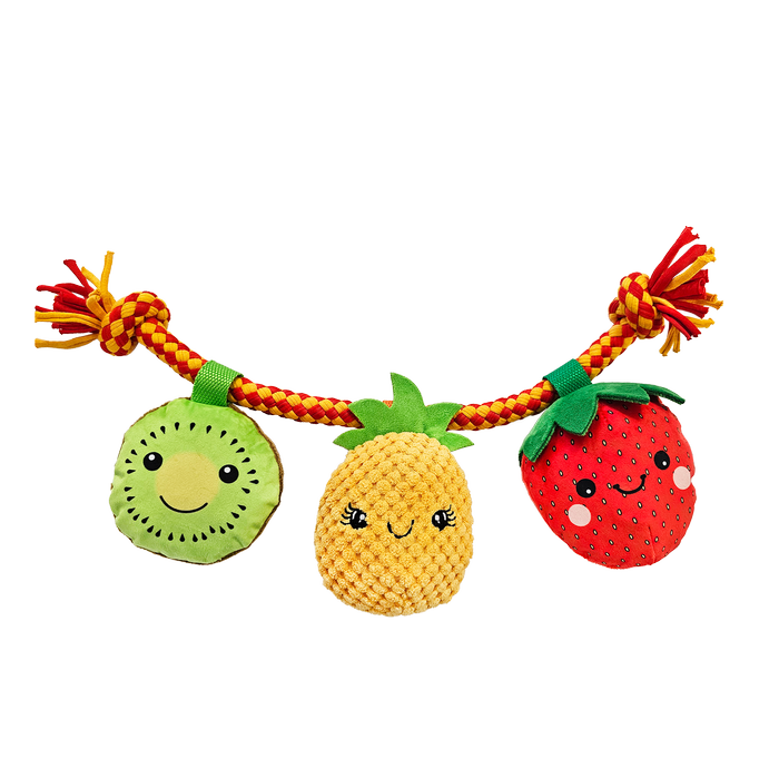 Baxter Bone - Summer Fruits On A Rope Pet Toy - Petservo