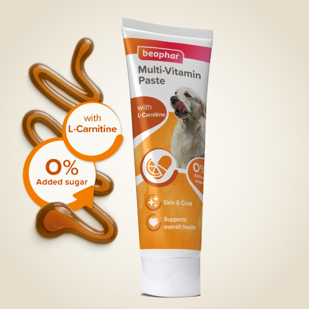 Beaphar - Multi Vitamin Paste for Dog 100g - Petservo