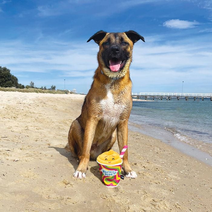 Baxter Bone - Smiley Slushie Pet Toy - Petservo