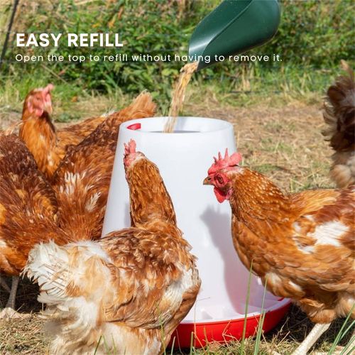 Rooster Farms - 6Kg Automatic Chicken Feeder - Plastic Poultry Chook Hen Feeding Seed Bucket