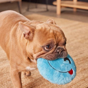 Happy Tails - Blue Face Squeaker Toy - petservo