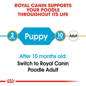 Royal Canin - Dog Poodle Puppy Dry Food 3kg - Petservo