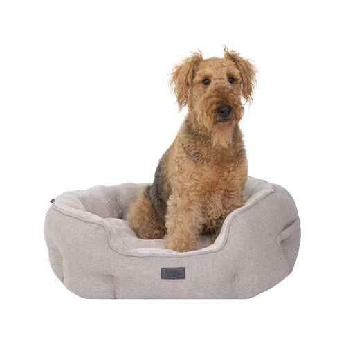 Baxter Bone - Taupe Sofa Style Fabric Shell Bed - Large - petservo