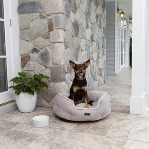 Baxter Bone - Taupe Sofa Style Fabric Shell Bed - Small - petservo