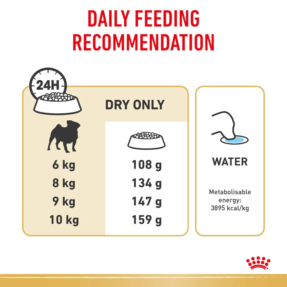 Royal Canin - Dog Pug Adult Dry Food - Petservo