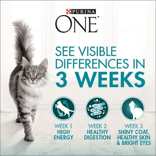 Purina One - 2.8kg Indoor Advantage With Chicken Dry Cat Food - petservo