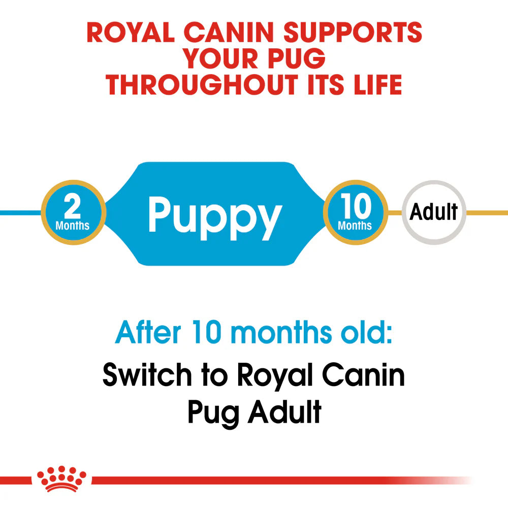 Royal Canin - Dog Pug Puppy Dry Food 1.5kg - Petservo