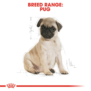 Royal Canin - Dog Pug Puppy Dry Food 1.5kg - Petservo