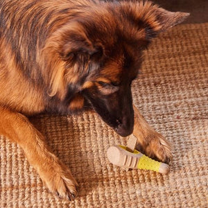 Happy Tails - Chicken Flavoured Chew Toy - petservo