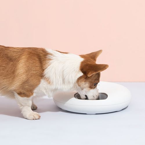 Yes4pets - 6 Meal Automatic Pet Dog Cat Food Feeder Dispenser