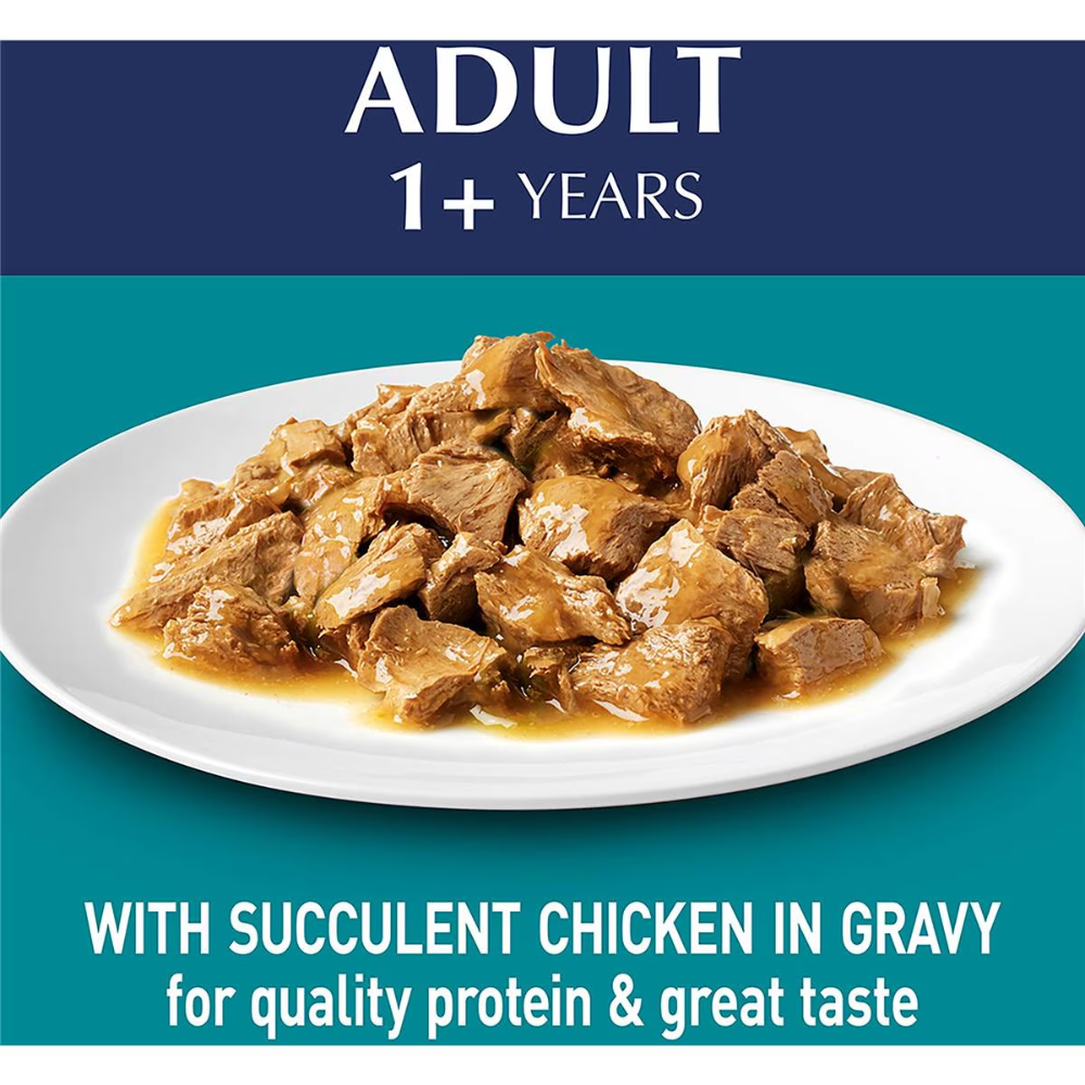 Purina One - Adult Chicken In Gravy Wet Cat Food 70g - Petservo