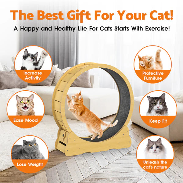 Advwin - Cat Exercise Wheel Running Wheel - Pet Servo