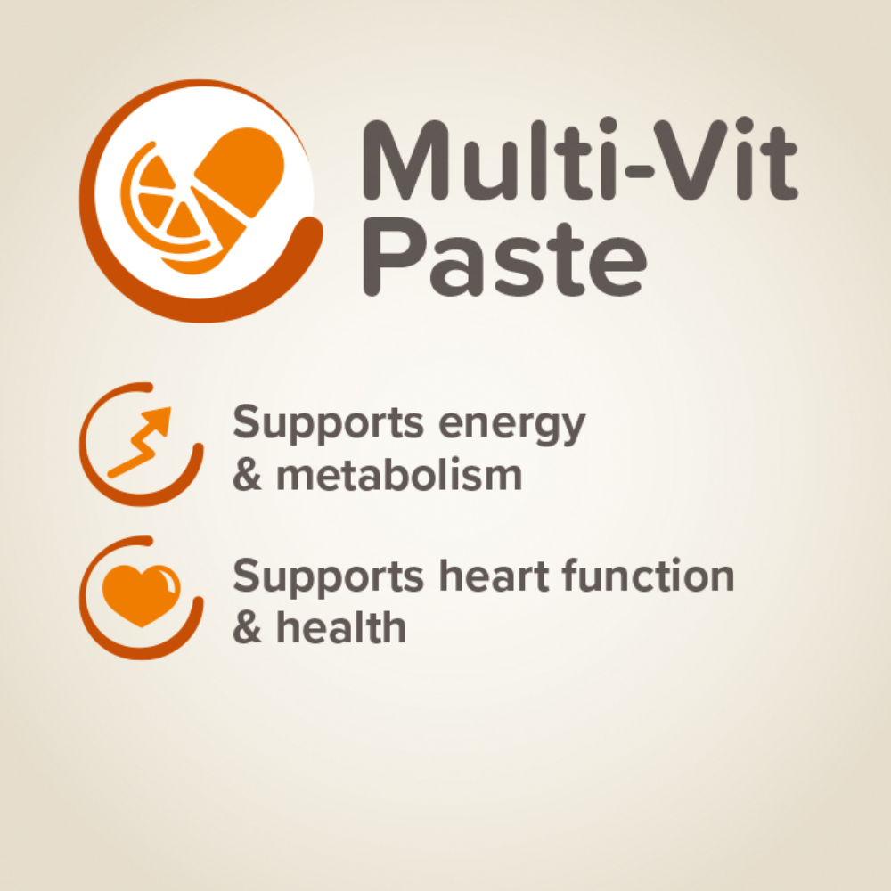 Beaphar - Multi Vitamin Paste for Dog 100g - Petservo