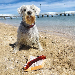 Baxter Bone - Sausage In Bread Pet Toy - Petservo