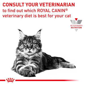 Royal Canin - Veterinary Diet Hypoallergenic Adult Dry Cat Food - Petservo