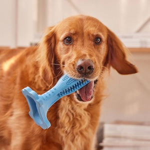 Happy Tails - Dental Rubber Chew Toy - petservo