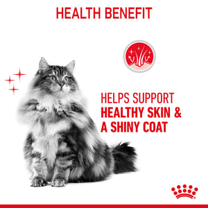 Royal Canin - Hair & Skin Care Jelly Adult Wet Cat Food Pouches 85g x 12 - Petservo