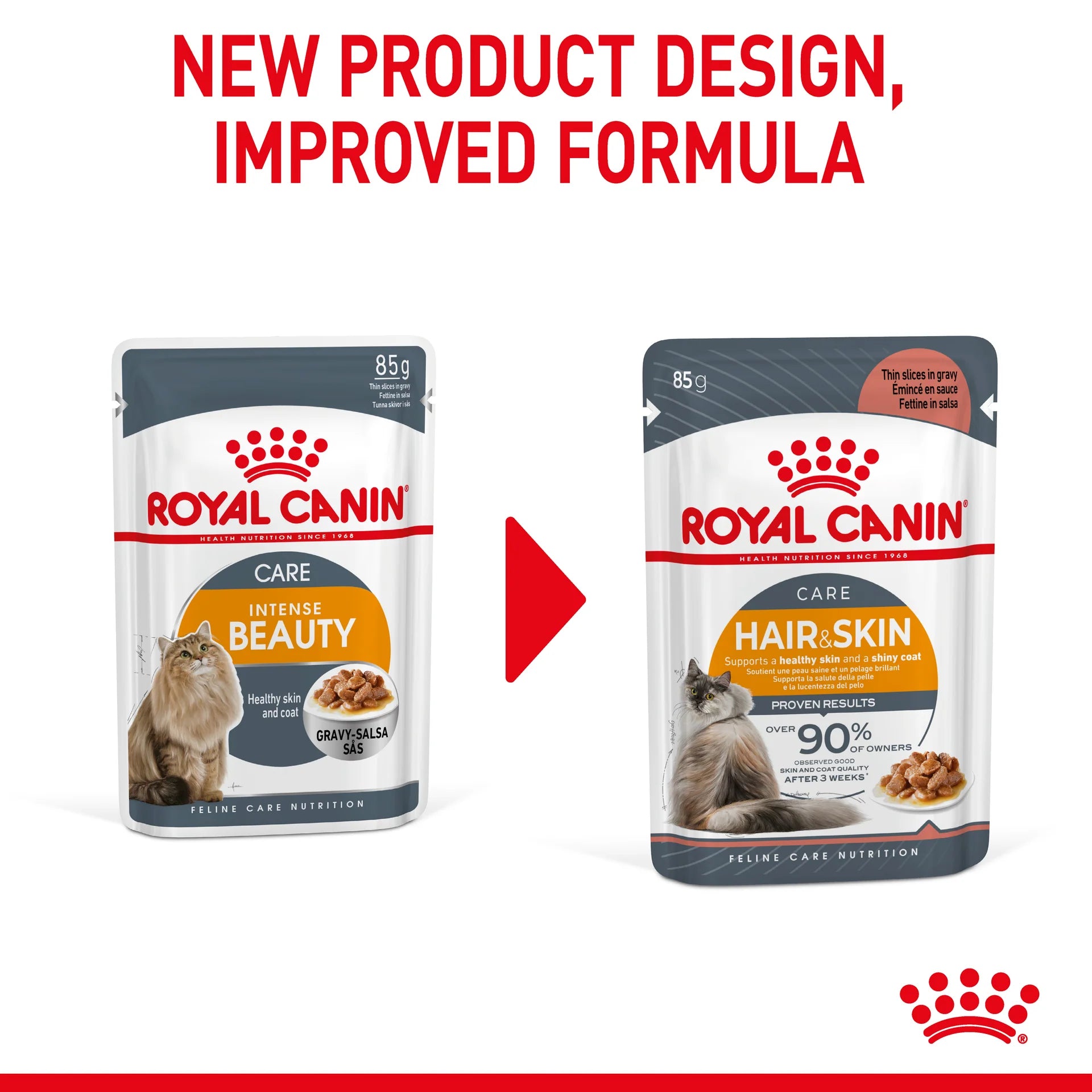 Royal Canin - Hair & Skin Gravy Adult Wet Cat Food Pouches 85g x 12 - Petservo