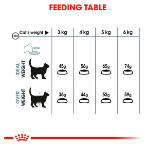 Royal Canin - Hairball Care Adult Dry Cat Food - Petservo