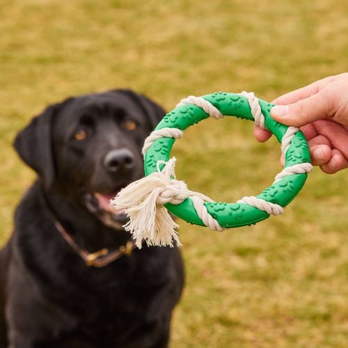 Happy Tails - Eco Rope And Rubber Ring Toy - petservo