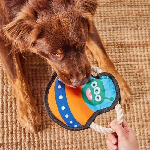 Happy Tails - Flying Disc Alien Toy - petservo