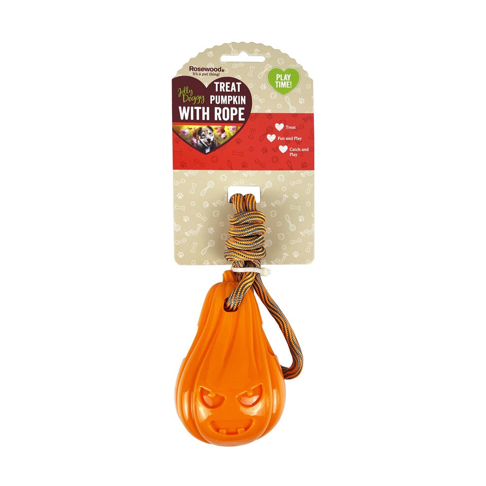 Rosewood - Treat Pumpkin with rope