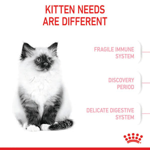 Royal Canin - Kitten Dry Cat Food - Petservo