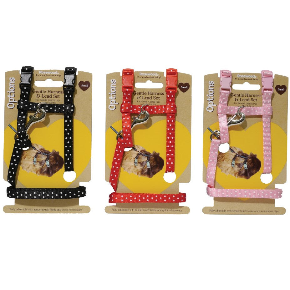 Rosewood - Polka Dot Harness & Lead - Small