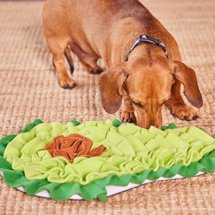 Happy Tails - Avocado Snuffle Mat - Petservo