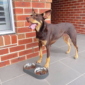 Baxter Bone - Melamine Ribbed Double Pet Bowl - Charcoal - Petservo