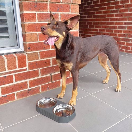 Baxter Bone - Melamine Ribbed Double Pet Bowl - Charcoal - Petservo