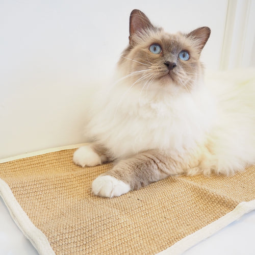 Pillar Products Pty Ltd - 45 x 29cm Jute Cat Scratching Mat