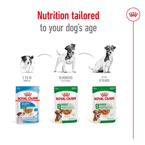 Royal Canin - Mini Adult Wet Dog Food Pouches 85g x 12 - Petservo