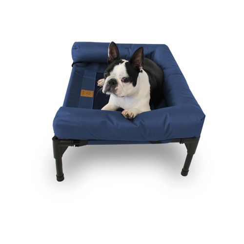 Charlie's - Elevated Trampoline Bolster Sofa Dog Bed - Blue - Medium