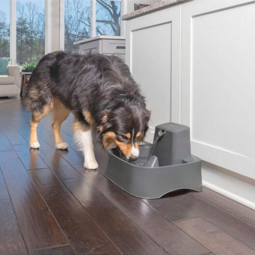 Petsafe Pets - 7.5 Litre Pet Fountain by Drinkwell for Dogs & Cats - Light Grey - Medium to Large