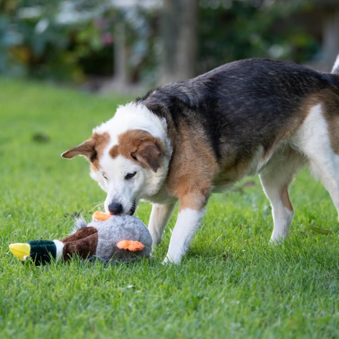 Pet Servo - Squeak Honking Plush Duck Dog Toy