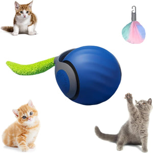 Generic - Interactive Cat Toy Ball – USB Rechargeable, Automatic & Fun (Blue) - Petservo