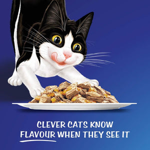 FELIX - As Good As It Looks Adult Wet Cat Food Favourites Selection 60x85g - Petservo