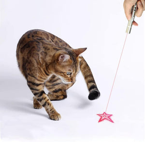 BYETOO_7 in 1 Laser Pointer for Cat Dog Interactive Lazer Toy_PetServo