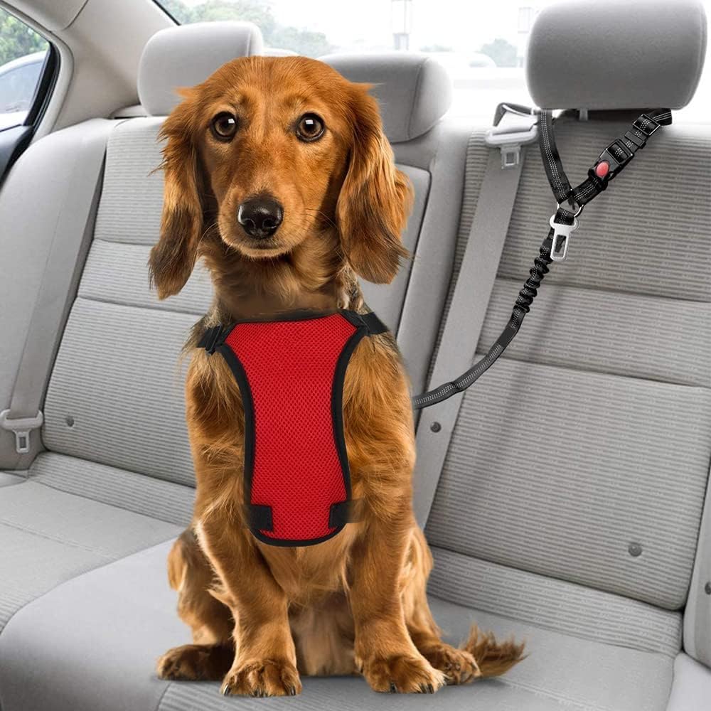 DVEDO - 2-in-1 Dog Seatbelts – Adjustable Pet Car Safety Harness - Petservo