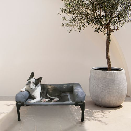 Charlie's - Elevated Trampoline Bolster Sofa Dog Bed - Grey - Large