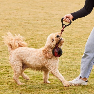 Happy Tails - Handle with Ball Rope Toy - petservo