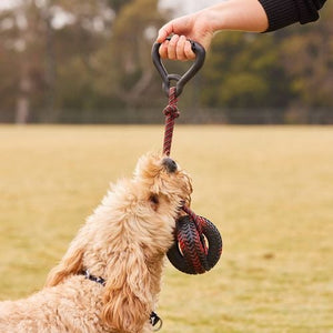 Happy Tails - Handle with Ball Rope Toy - petservo