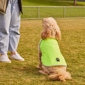 Happy Tails - High Vis - Short Back LARGE - petservo