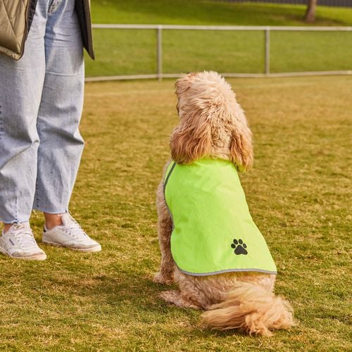 Happy Tails - High Vis - Short Back LARGE - petservo