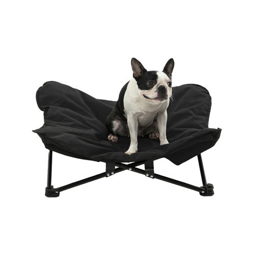 Charlie's - Foldable Elevated Dog Bed - Black - Large