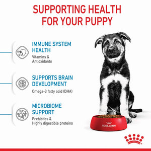 Royal Canin - Maxi Puppy Dry Dog Food - Petservo