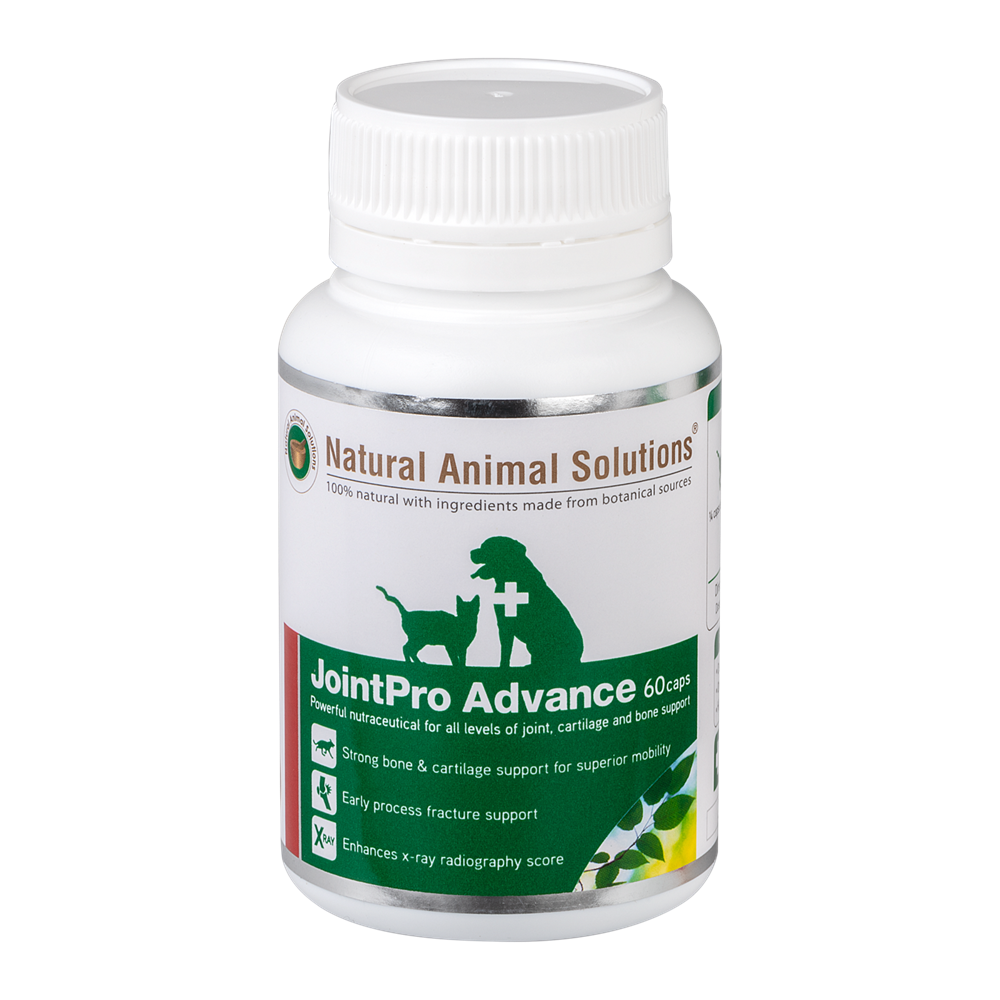 Nature Animal Solutions - JointPro Advance - Petservo